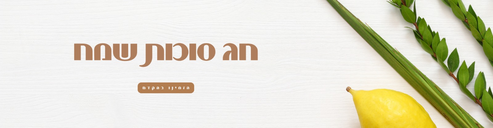סוכות